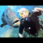 Profile Picture of lukebonney (@lukebonney) on Instagram