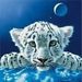 Profile Picture of Rayan Hamadi (@oussamaazizouss) on Pinterest