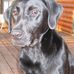 Profile Picture of Harley Anselmo (@harley.anselmo.3) on Facebook