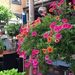 Profile Picture of Peter Jonker (@pjonker55) on Pinterest