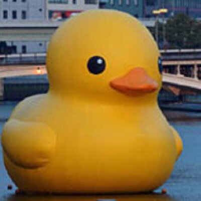 Profile Picture of WookieWarrior331 (@hannahkolb68) on Twitter