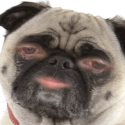 Profile Picture of Harry Needham (@needhamh211) on Twitter