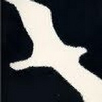 Profile Picture of Chad Novacek (@chad-novacek-1) on Quora