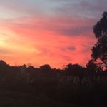 Profile Picture of Carlos Weinberger (@weinbergercarlos) on Instagram