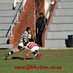 Profile Picture of CraigBorges (@craig_borges) on Twitter