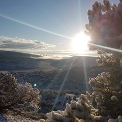 Profile Picture of Todd Berger (@toddberger) on Tiktok