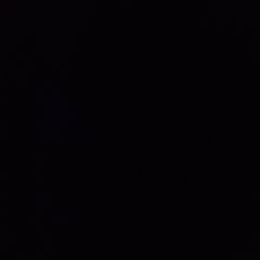 Profile Picture of Loris Ringo (@lorisringo) on Tiktok