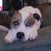 Profile Picture of Dawn Marsh (@dawnmarsh5052) on Youtube