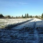 Profile Picture of tracy sheets (@tracysheets) on Instagram