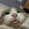 Profile Picture of Kimberly Sierra Armenta (@@0.0kim0.0kim) on Tiktok