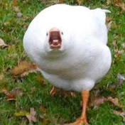 Profile Picture of Josh Spring (@joshspring6144) on Youtube