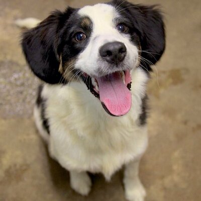 Profile Picture of Bob Puffer (@h20_bob) on Twitter