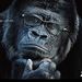 Profile Picture of KingKong Ekiden (@kingkongekiden) on Pinterest