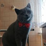 Profile Picture of Oliwia Spytma (@oliwiaszpytma1) on Instagram