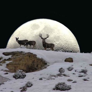 Profile Picture of Guy Herring (@guy137) on Myspace