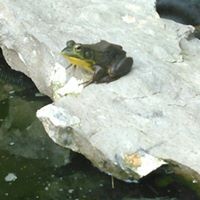 Profile Picture of Tim Randolph (@tim-randolph-8) on Quora