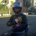 Profile Picture of Alessandro Cervone (@alessandro.cervone.9) on Facebook