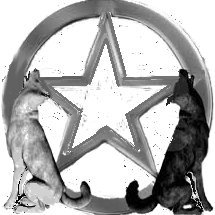 Profile Picture of The Larry Talbot Society (@TalbotSociety) on Twitter