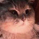 Profile Picture of andrew is unable to post (@iminactiveandproud) on Instagram