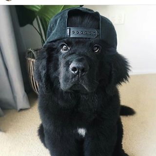 Harmony Ellis - Facebook Profile Picture of Harmony Ellis (@harmony.ellis.777) on Facebook