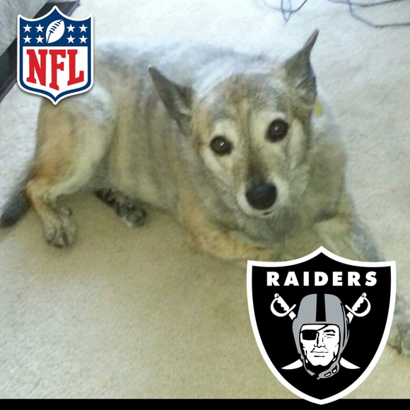 Profile Picture of Heather Haskett-bohannon (@50shadescrazy1) on Poshmark