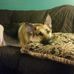 Profile Picture of Raymond Glen Beebe (@glen.beebe.524) on Facebook