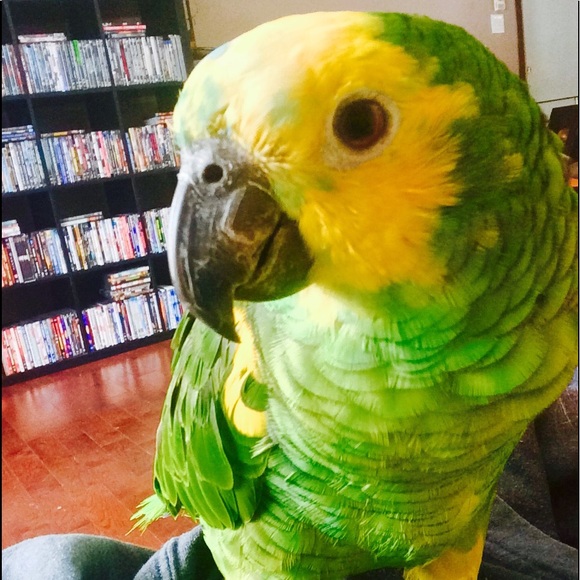 Profile Picture of Katiane Simard (@katianesimard) on Poshmark