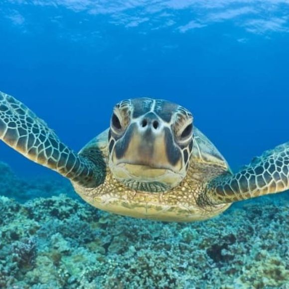 Matthew Howland - Poshmark Profile Picture of Matthew Howland (@matthewhowland) on Poshmark