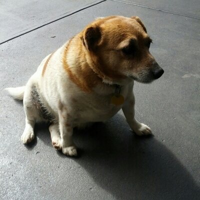 Profile Picture of Dennis Katz (@Rusty0690) on Twitter