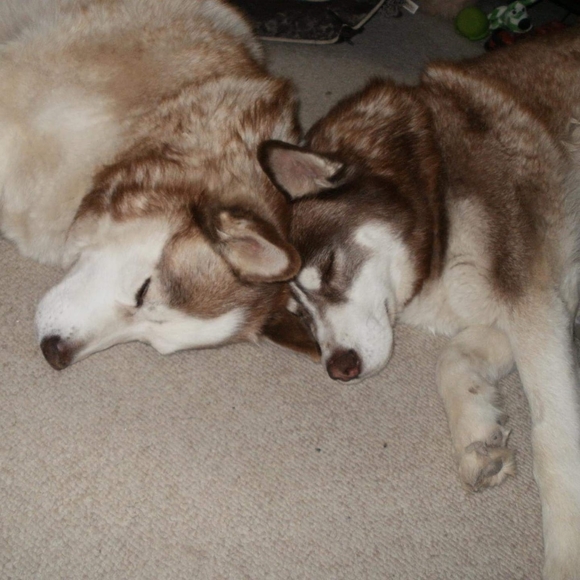 Profile Picture of Cory Vargas (@cory_vargas) on Poshmark