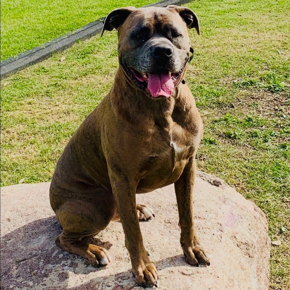 Profile Picture of Brett Zinnick (@brettzinnick) on Poshmark