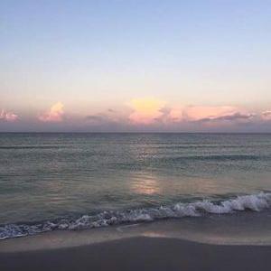 Jeff Halsted - Twitter Profile Picture of Jeff Halsted (@HalstedJeff) on Twitter