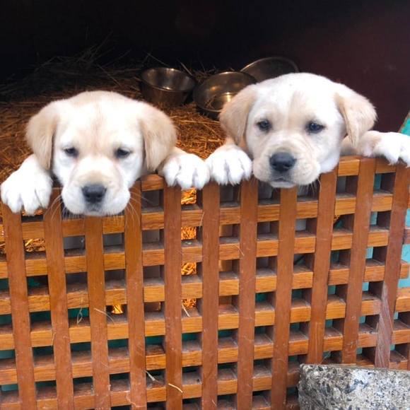 Profile Picture of Craig Andrews (@andrewsiron) on Poshmark