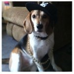 Profile Picture of Jared Getz (@jaredgetz) on Instagram