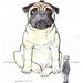 Profile Picture of Ben Ita (@mauki1974) on Pinterest