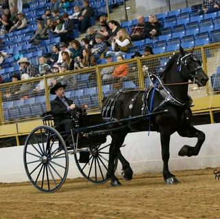 Profile Picture of Steve Beitz (@steven.beitz.98) on Facebook