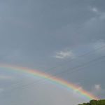 Profile Picture of Trenice Williams (@williamstrenice) on Instagram