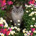 Profile Picture of Nancy Douglas (@nancy.douglas.313) on Facebook