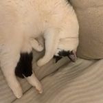 Matthew Brace - Instagram Profile Picture of Matthew Brace (@brace.matthew) on Instagram