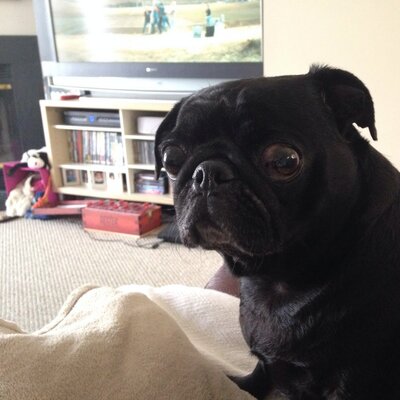 Profile Picture of Tracie Heavirland (@TracieHeavirlan) on Twitter