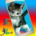Profile Picture of Lazaro Lugones (@lazaro.lugones.9) on Facebook