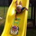 Profile Picture of Jeff Harkins (@harkins0153) on Pinterest