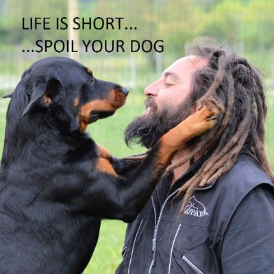 Profile Picture of Tony Tramonte (@TonyTramonte) on Twitter