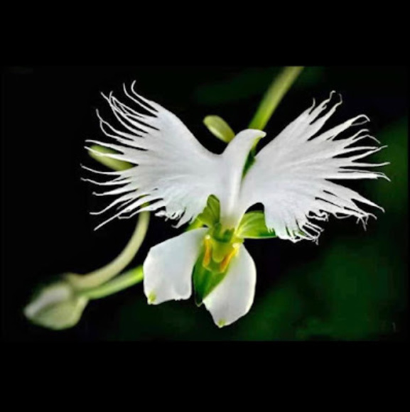 Profile Picture of Lance Walker (@lancewalker339) on Poshmark