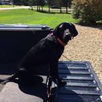 Profile Picture of Brian Koosman (@briankoosman) on Instagram