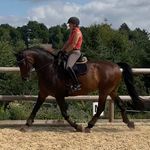 Profile Picture of Martina Pfanz (@martinapfanz) on Instagram