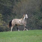 Profile Picture of Nora Schneider (@ferme_du_chanot) on Instagram