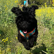 Profile Picture of Wang Jun (@wangjun6246) on Youtube