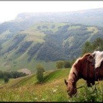 Profile Picture of Mcken (@mckenschrammsa82) on Instagram