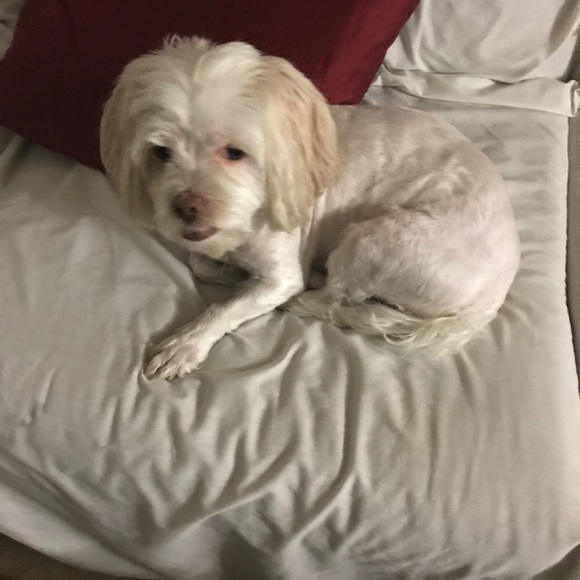 Jocelyn Simon - Poshmark Profile Picture of Jocelyn Simon (@jocsimon) on Poshmark